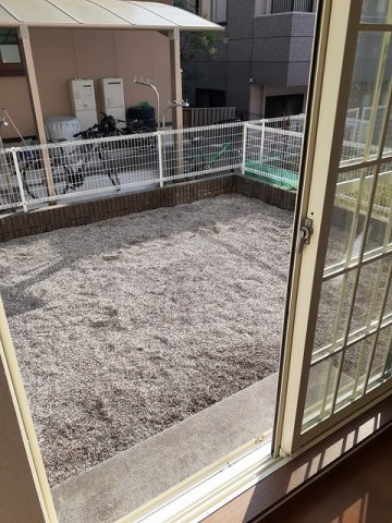 庭