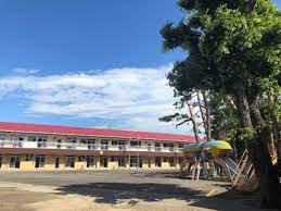 幼稚園・保育園　豊四季幼稚園（幼稚園・保育園）まで290m