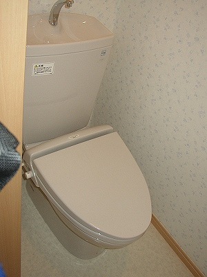 ピークハイム和光Lのトイレ写真