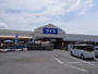 ホームセンター　DCM DAIKI(DCMダイキ) 上津店（ホームセンター）まで240m
