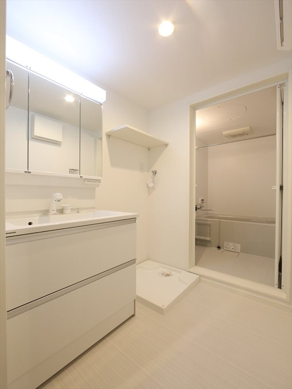 洗面設備　脱衣所　独立洗面台（シャンプードレッサー付）同仕様写真