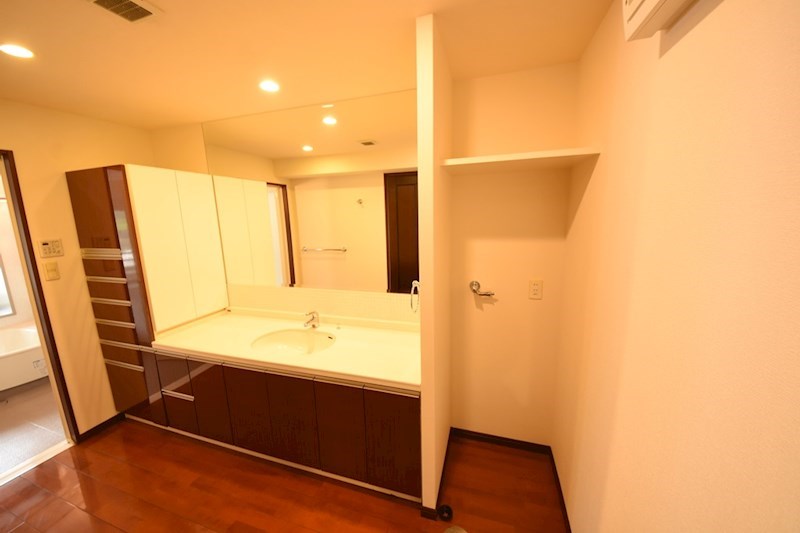 洗面設備　賃貸ではなかなかお目にかかれないシャンプードレッサーです。