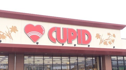 スーパー　キューピット 豊栄店（スーパー）まで1252m
