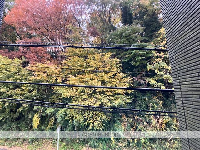 眺望　眺望