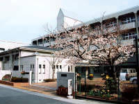 中学校　神戸市立鷹匠中学校（中学校）まで1033m