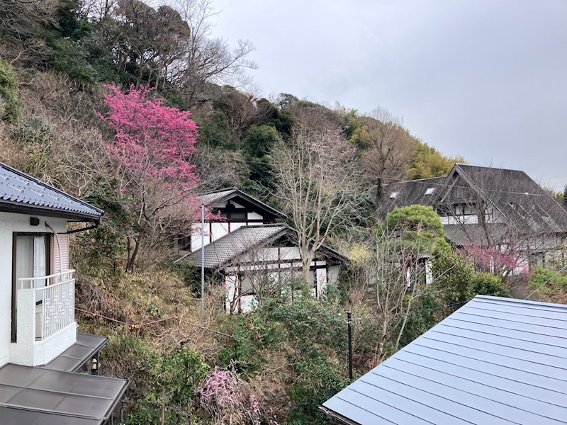 眺望　※205号室の画像です