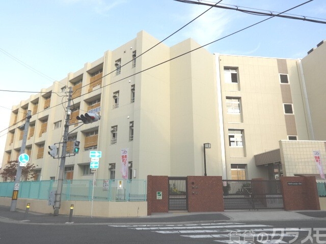 小学校　大阪市立歌島小学校（小学校）まで800m