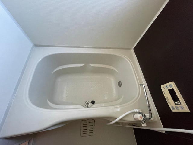 バス・シャワールーム　清潔感のあるバスです