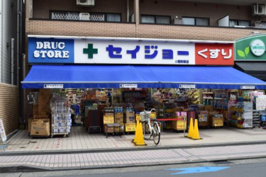 ドラックストア　くすりセイジョー　稲田堤店（ドラッグストア）まで792m