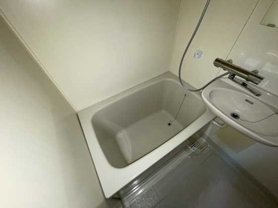 バス・シャワールーム　※別部屋の写真です