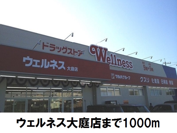 ドラックストア　ウェルネス大庭店（ドラッグストア）まで1000m