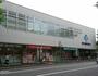 ドラックストア　ドラッグセガミ練馬店（ドラッグストア）まで650m