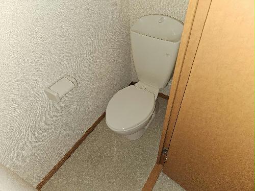 トイレ　備品や設備仕様は号室等により異なります現地をご確認下さい。