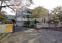 小学校　千波小学校（小学校）まで1100m