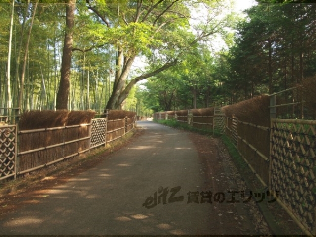 公園　竹林公園（公園）まで3420m