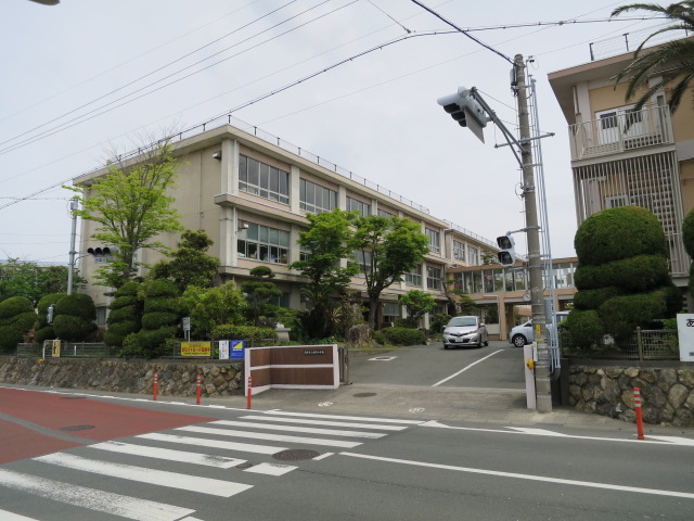 小学校　浜松市立白脇小学校（小学校）まで343m