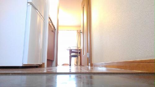 玄関　奥へ居室へと続きます