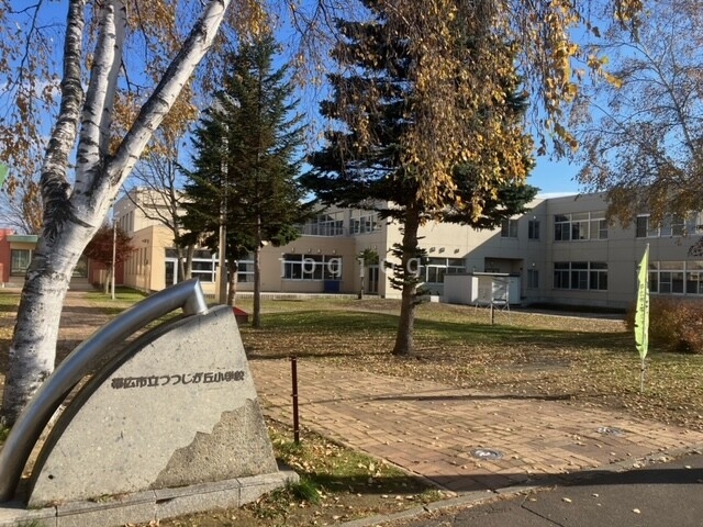 その他　帯広市立つつじヶ丘小学校（その他）まで700m