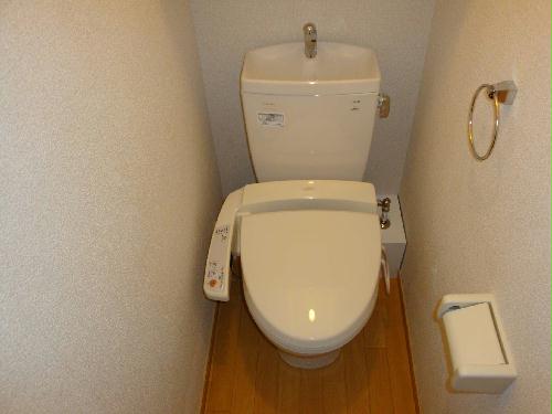 トイレ　温水洗浄便座付き。上には棚があります。