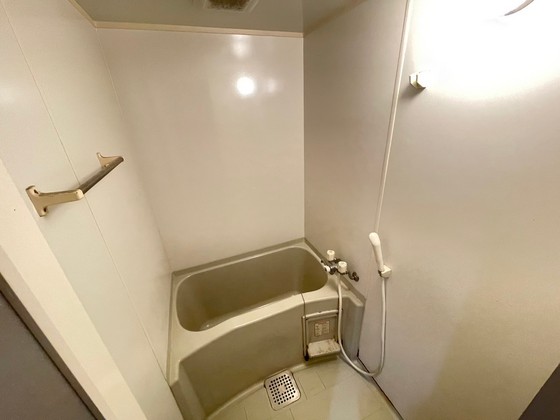 バス・シャワールーム　※別部屋の写真です