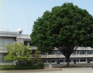 小学校　鹿沼市立北押原小学校（小学校）まで1363m