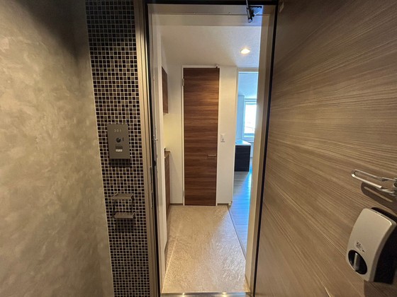 玄関　※他部屋の写真です。