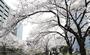 公園　石崎川公園（公園）まで449m