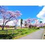 公園　運動公園南緑地（公園）まで193m