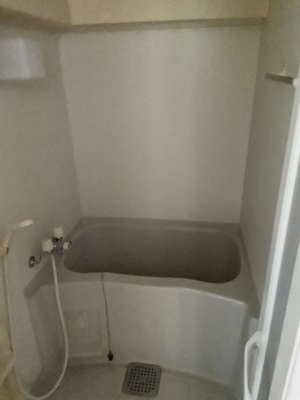 バス・シャワールーム　※別部屋の写真です