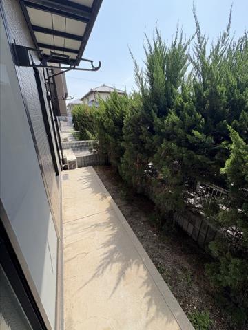 庭