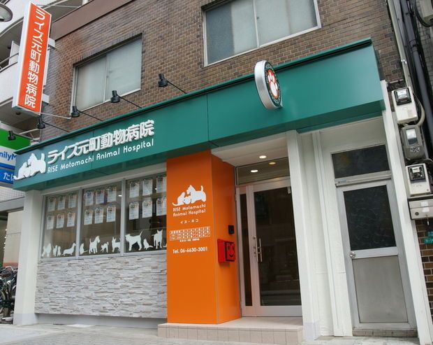 病院　ライズ元町動物病院（病院）まで513m