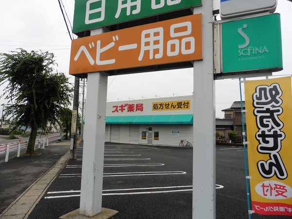 ドラックストア　スギ薬局 共和店（ドラッグストア）まで1040m