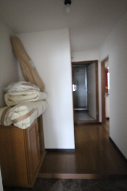 玄関　別号室の写真です