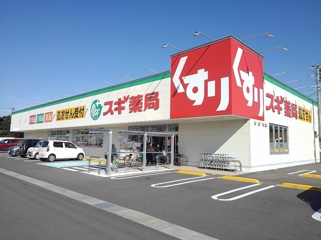 ドラックストア　スギ薬局竹鼻店（ドラッグストア）まで700m