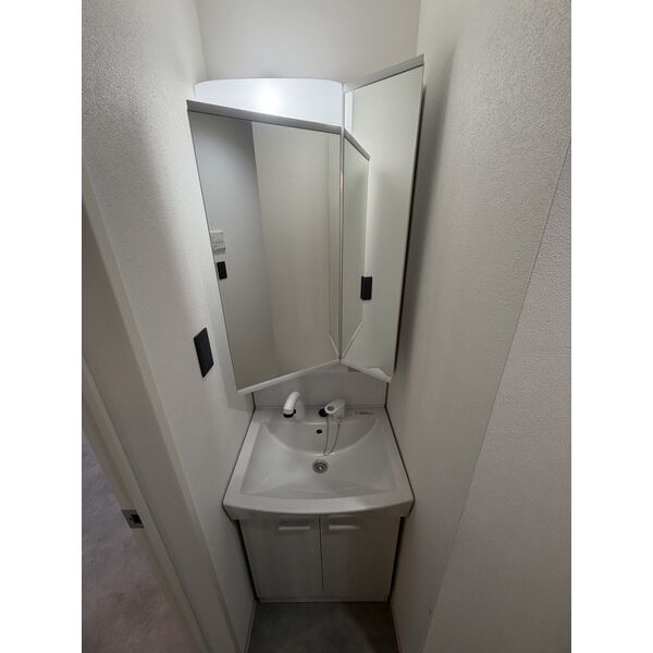 洗面設備　301号の画像です。