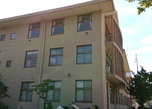 小学校　彦根市立旭森小学校（小学校）まで600m