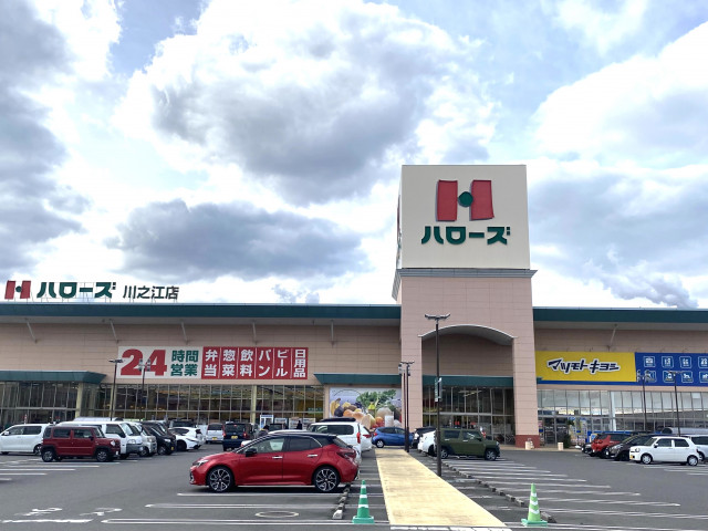 スーパー　ハローズ川之江店（スーパー）まで500m