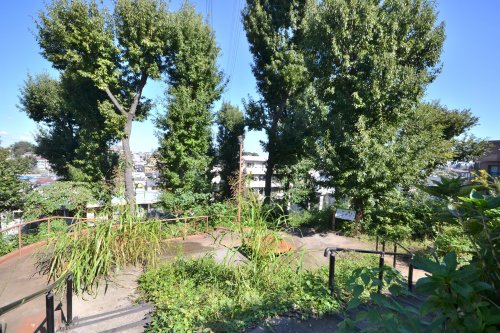 公園　昆虫公園（公園）まで806m