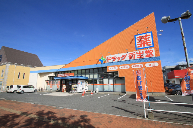 ドラックストア　ドラッグ新生堂横代店（ドラッグストア）まで394m