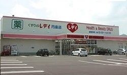 ドラックストア　レディ薬局さん（ドラッグストア）まで1300m
