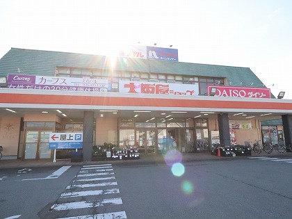 スーパー　（株）パル大阪屋ショップ（スーパー）まで650m