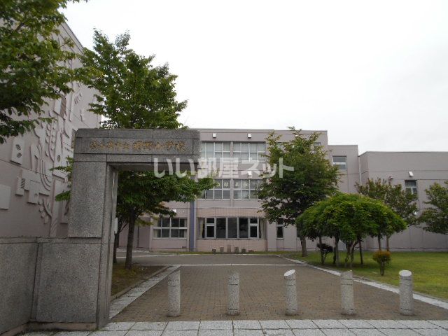 小学校　苫小牧市立明野小学校（小学校）まで1354m