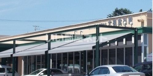 スーパー　大槻食品館七飯店（スーパー）まで538m