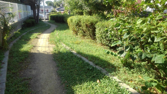 公園　谷八木川左岸線緑地（公園）まで1034m