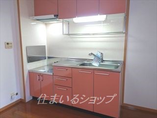 キッチン　浄水器一体型シャワー水栓・床下収納あり