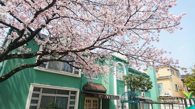 幼稚園・保育園　ゆりかご幼稚園（幼稚園・保育園）まで1022m