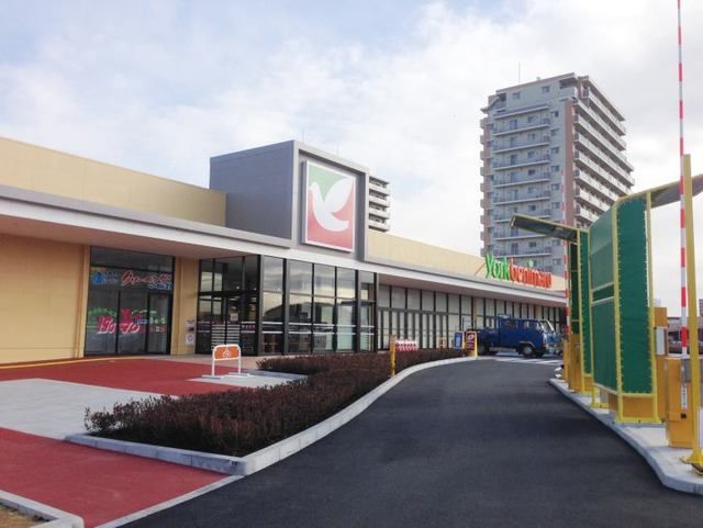 スーパー　ヨークベニマル ひたち野うしく（スーパー）まで1500m