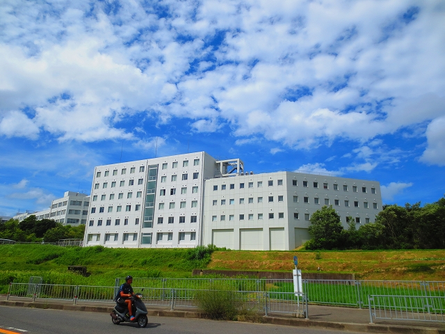 大学・短大　私立大阪体育大学（大学・短大）まで3368m