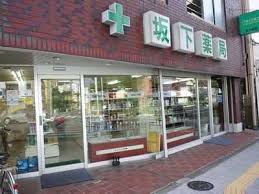 ドラックストア　坂下薬局（ドラッグストア）まで305m