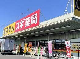 ドラックストア　スギ薬局川口西新井宿店（ドラッグストア）まで805m